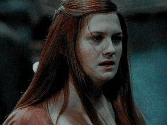 Você sabe tudo sobre a Gina Weasley?