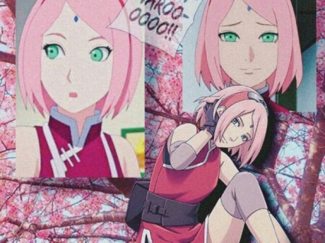 Sakura...............