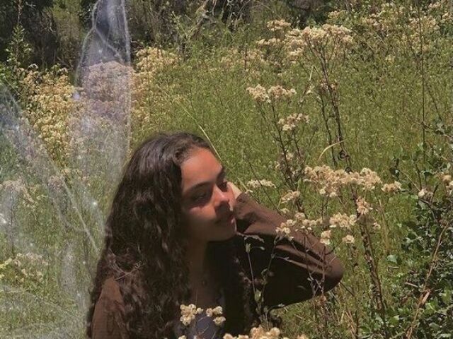 Qual fada você seria 🧚