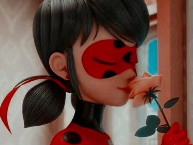 Ladybug