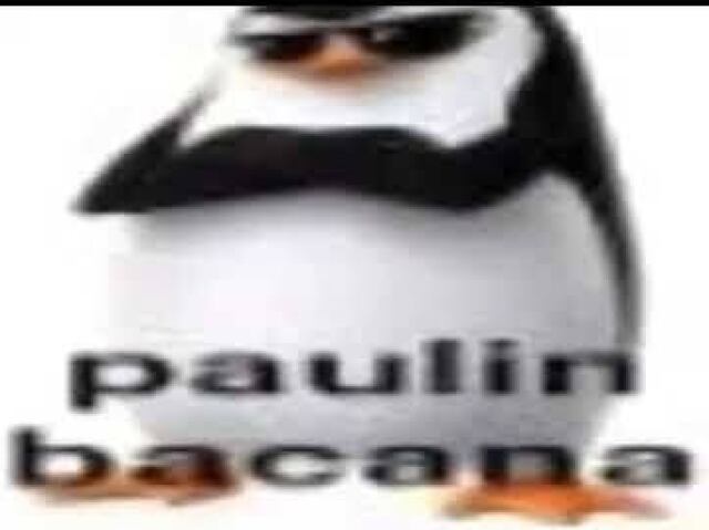 Paulin bacana