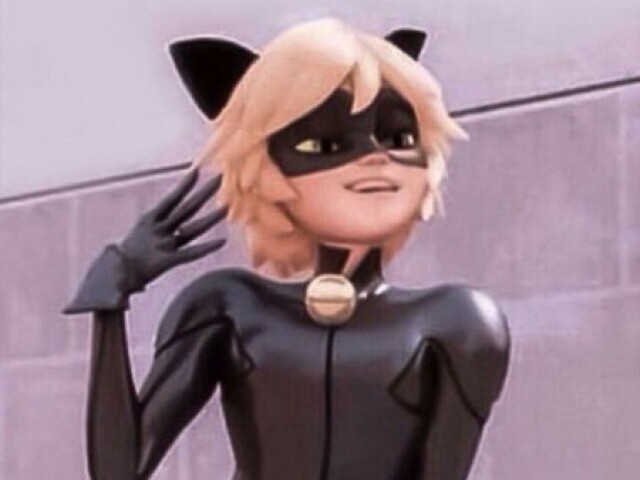 Cat Noir