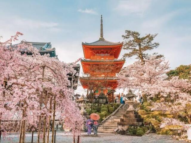 Japão,por causa da cultura que vc era apaixonada ❤🇯🇵