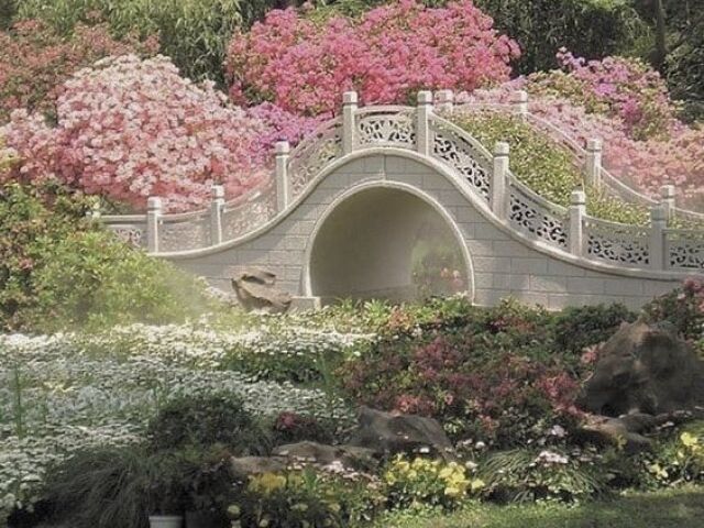 Ponte โจ
