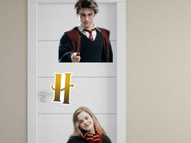 Harry potter🧝♀️✨