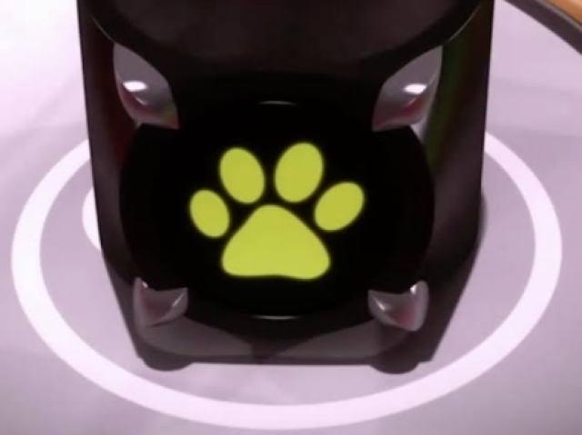 Gato