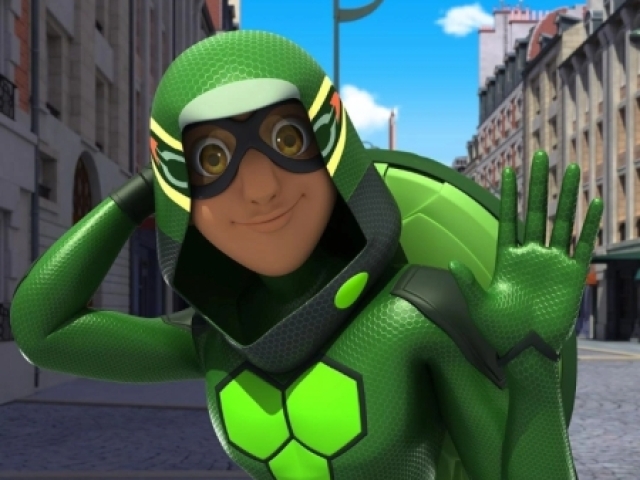 Carapaça 🐢