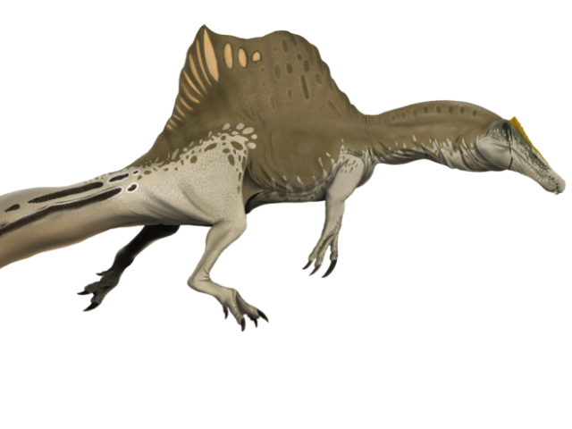 Spinossauro