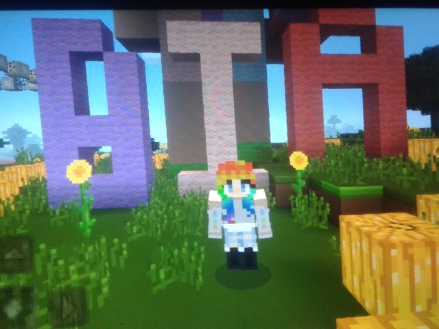 Minecraft