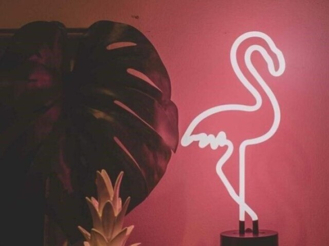 Flamingo