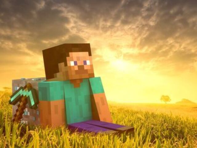 Você é um Profissional Minecrafter!!