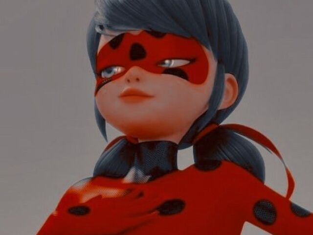 Ladybug