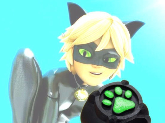 Chat noir