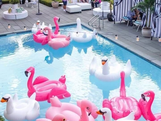 Crie sua festa na piscina!🦩🫐🍧🍦