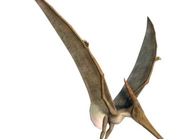 Pterodáctilo