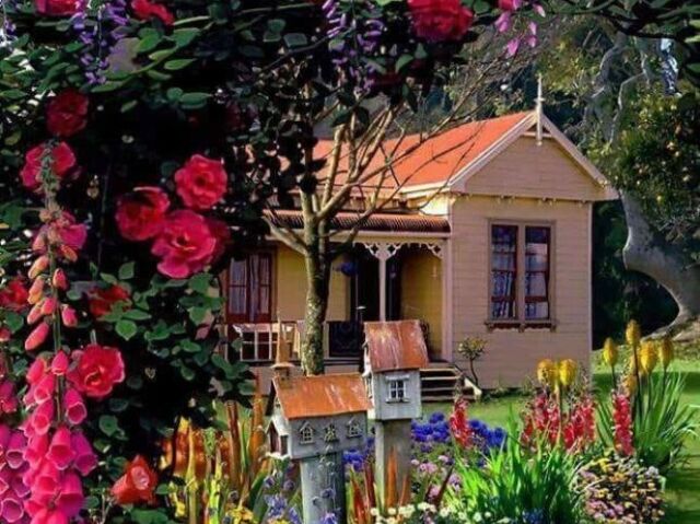 Casa no meio das flores