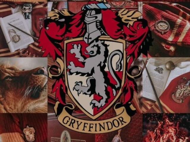 Grifinória//Griffindor❤