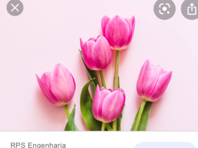 Essa tulipa 🌷