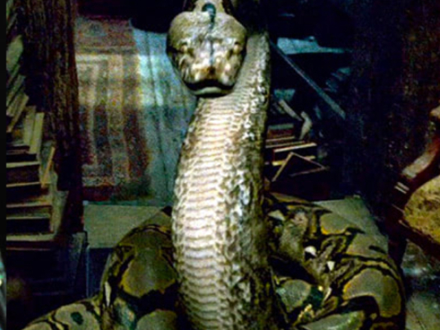 Nagini