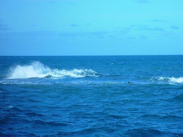 DENTRO DO MAR