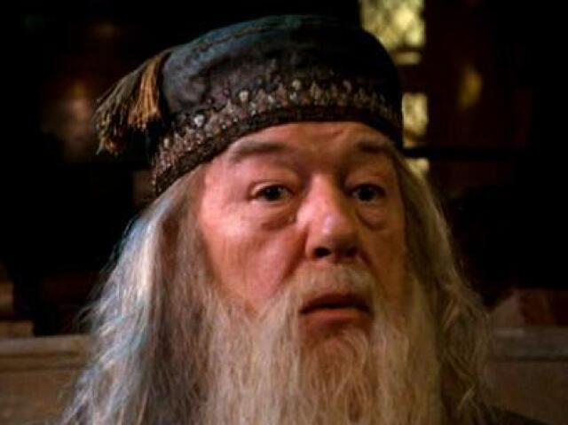 (Diretor) professor Dumbledore