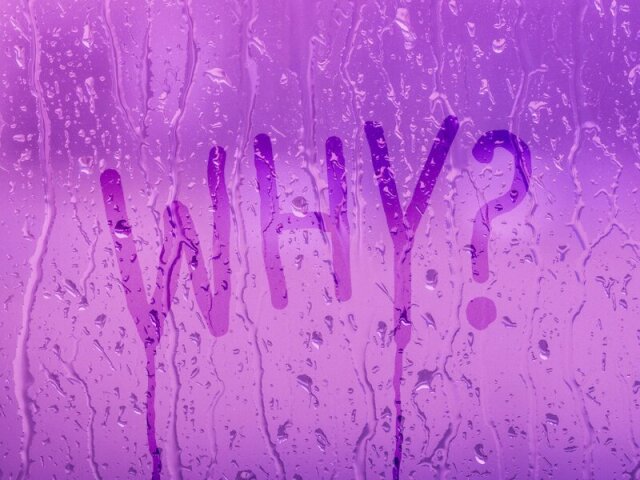 Why?β¨(bazzi)