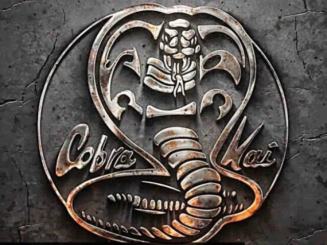 Você acompanha bastante Cobra Kai?