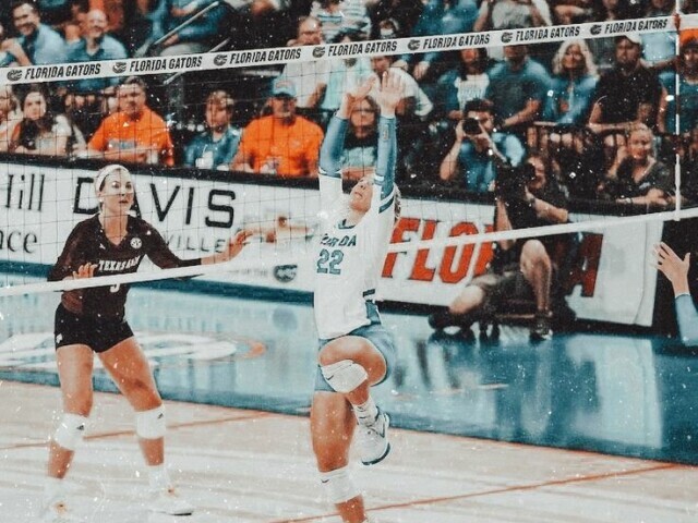 Vôlei