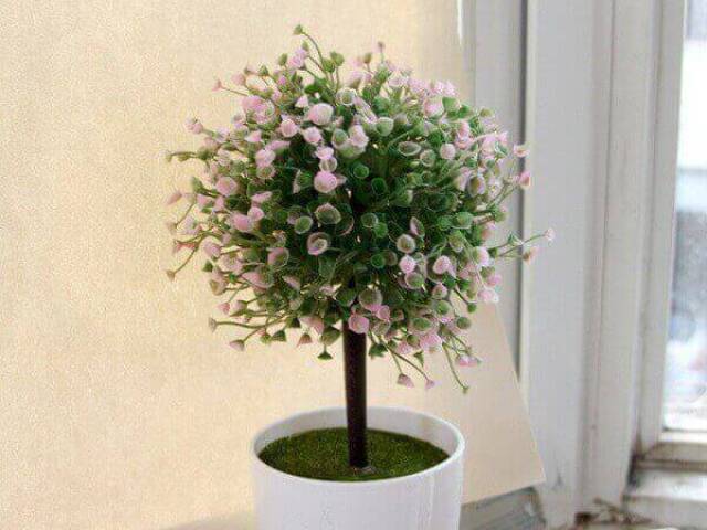 muito lindo ó 👌 eu botava uma dessa no meu quarto :3
obs: nem sei o nome dessa planta ai e nem conheço ela tbm por tanto n me julgue se vc souber dobre plantas kk :)