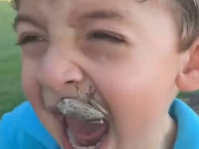 Caetano