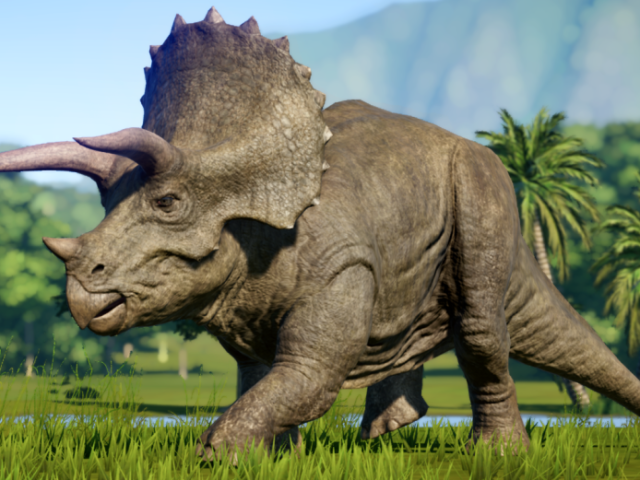 Triceratops