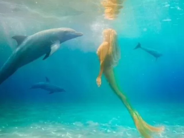 Sereia dos Animais🐬