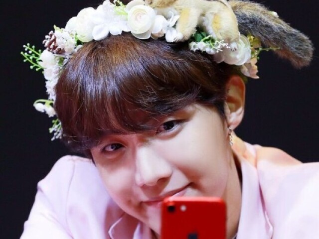 Você conhece bem o Hoseok?