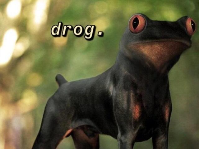 Drog