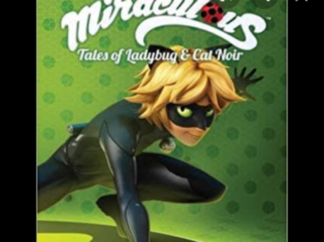 Cat noir