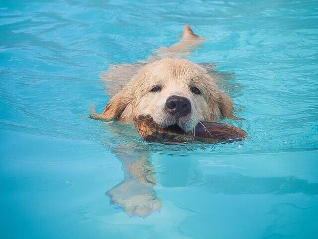 Piscina Pequena