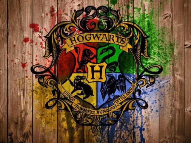 Qual seria sua casa de Hogwarts?