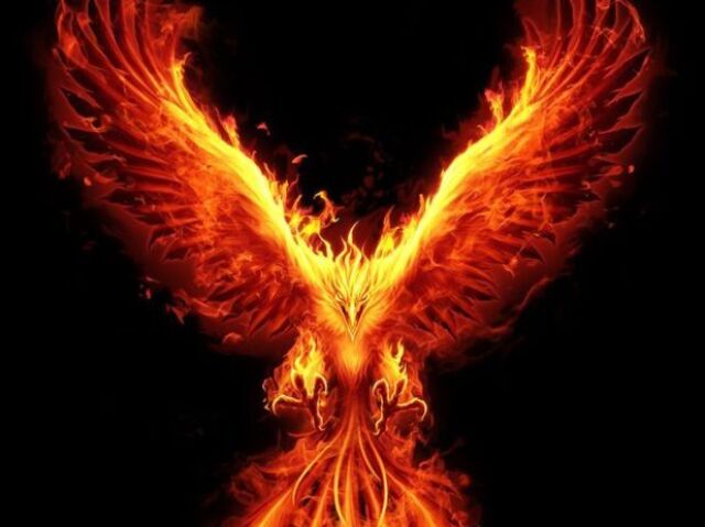 Fênix🔥