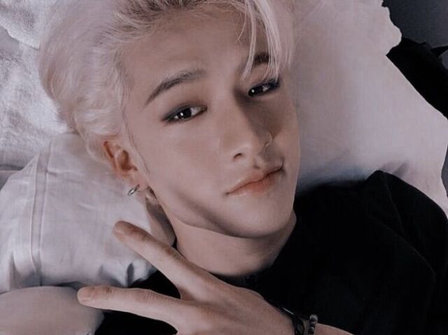 Ir ao Zoológico com Bang Chan