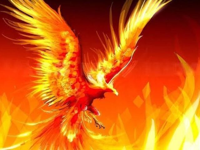 Fenix