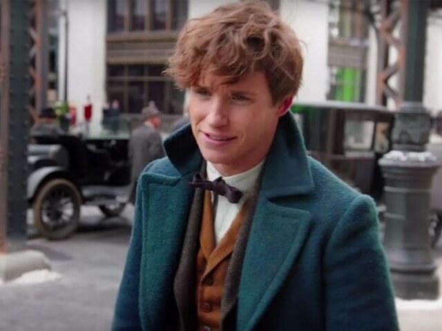 newt scamander