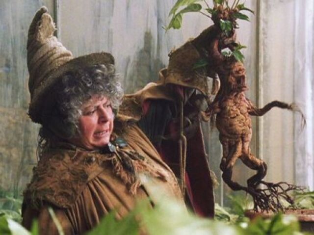 prof sprout