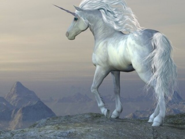 Unicórnio!