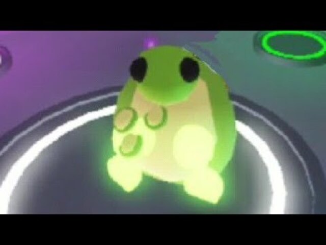 Tartaruga🐢