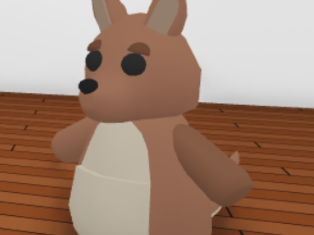 Canguru🐾