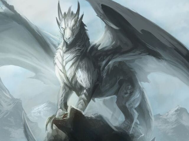 Dragão!