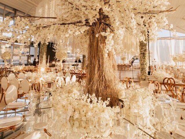 Casamento de luxo