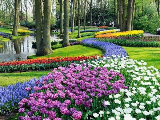 Esse lindo parque com lindas flores e grama fresquinha😍