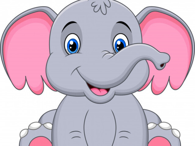 Elefante