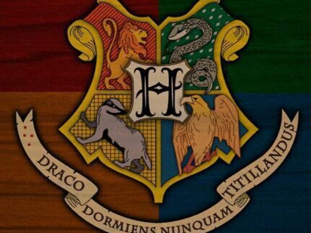 Qual seria sua casa em Harry Potter?